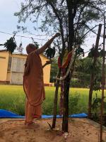Sharadiya Navaratri 2020 Day 9 (25.10.2020) – SCM Shirali – Shami Puja by H.H.Swamiji